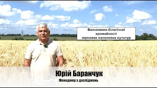 Визначення біологічної врожайності зернових колосових культур