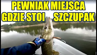 GDZIE SZUKAĆ SZCZUPAKA W MAJU ? SPINNING NA JEZIORZE PZW / SZCZUPAK W MAJU / OTWARCIE SEZONU 2023