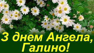 Галино, вітаю з днем Ангела! Привітання з днем Ангела Галини! Привітання з іменинами Галини