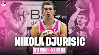 Nikola Djurisic 2024 NBA Draft Profile | Skilled Serbian Wing