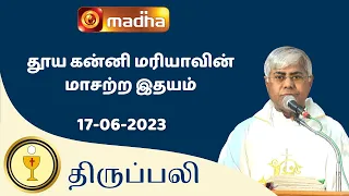 🔴 LIVE 17 JUNE 2023 Holy Mass in Tamil 06:00 PM (Evening Mass) | Madha TV