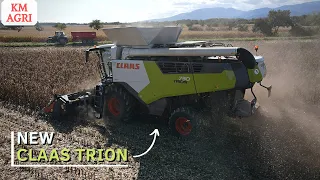 🤩 NEW CLAAS TRION 730 | MOISSON de MAÏS 2022 💪😎 !!