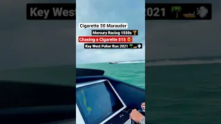 Cigarette 50 Marauder Chasing a Cigarette 515 - Key West Poker Run #shorts