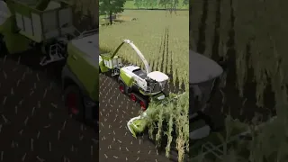 Best Harvester Claas Jaguar 960 Terra Trac - Farming Simulator 22 #FarmingSimulator22 #Claas