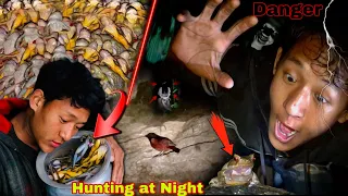 Frog Hunting,Cooking & Eating Mountain River/Paha Hunting(Toad)Hunting!Eateble/Frog Hunting at Night