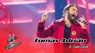 Tomás Adrião - "A Gaivota" (Amália Hoje) | Live | The Voice Portugal