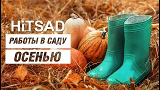 Работы в саду осенью 🍂