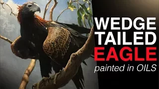 How to paint BIRDS | The Majestic WEDGE TAILED EAGLE | Oil Painting Tutorial