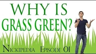 "Why Is Grass Green?" Nickipedia: Ep.01