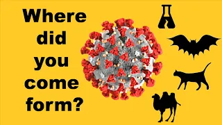 How do the new viruses emerge?