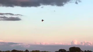 F-22 Raptor going nuts at Oshkosh Air Show.