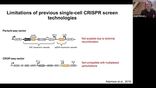 Scalable & combinatorial single-cell CRISPR screens by direct gRNA capture & targeted sequencing