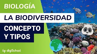 La biodiversidad. Concepto y tipos - Biología - digiSchool