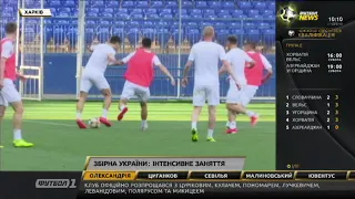 Руслан Малиновський - про підготовку до матчу проти Сербії