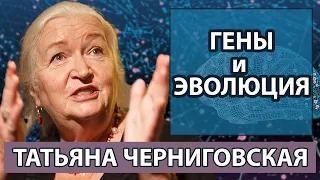 Черниговская Татьяна о генах в процессе эволюции