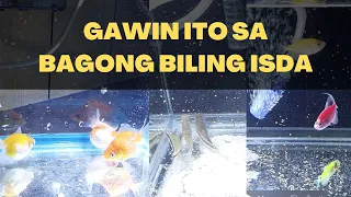 Iwasang Mamatayan ng Isda: Gawin Ito sa Bagong Biling Freshwater Fish | Raffle Winner & New Giveaway