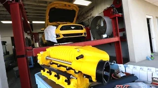 2015 Mustang Whipple Supercharger Install