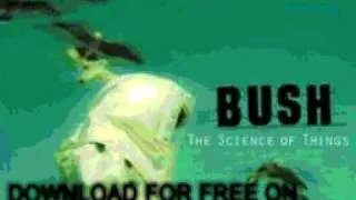 bush - Letting The Cables Sleep - The Science Of Things