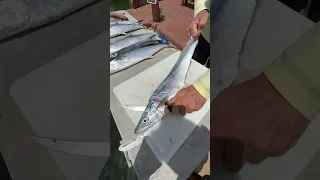 The FASTEST and EASIEST way to fillet a fish! #shorts