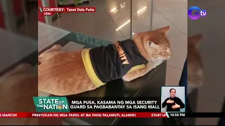 Mga pusa, kasama ng mga security guard sa pagbabantay sa isang mall | SONA