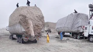 Extreme Loading & Transporting Sugarcane Waste by Truck