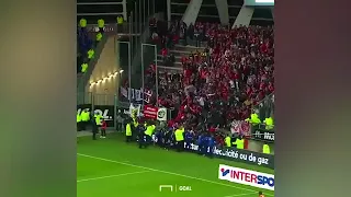 Lille vs Amiens match halted after barrier collapses in away stand