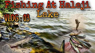 FISHING AT HALEJI LAKE | SIDDIQUI SAHAB❤️