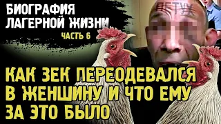 ПЕЛЬМЕНЬ ПЕРЕОДЕЛСЯ В ЖЕНЩИНУ В КАМЕРЕ / ПЕТУШИНЫЙ ПОСТУПОК