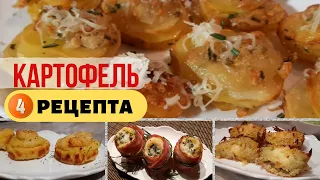 Картофель. Как вкусно приготовить картошку.