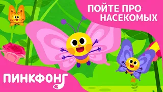 Порхающие бабочки | Песни про насекомых | Пинкфонг песни для детей