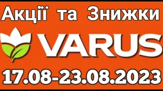 Акції VARUS з 17.08 по 23.08.2023 року #varus #анонсатб #знижкиатб #цінинапродукти #оглядцін