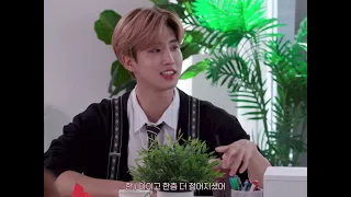 [StrayKids/스트레이키즈] 슼둥가족이 왜 거기서 나와..?