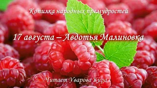 17 августа - Авдотья Малиновка