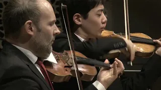 Elbphilharmonie: Bach Doppelkonzert BWV 1043 - Gustav Frielinghaus, Leonard Fu, Hamburger Camerata