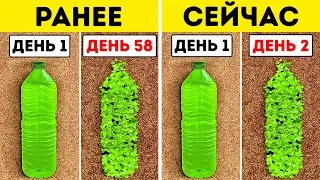 Ученые Нашли Бактерию, Которая Питается Пластиком