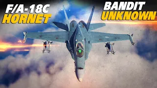 F/A-18C Hornet Dogfight | Bandit Unknown | Digital Combat Simulator | DCS |