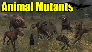 S.T.A.L.K.E.R.: ALL Monsters & Creatures Explained #1 - Animal Mutants