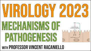 Virology Lectures 2023 #15: Mechanisms of pathogenesis