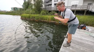 EPIC BANK FISHING on a DOCK! Nonstop Redfish + HOW TO (Catch + Cook)