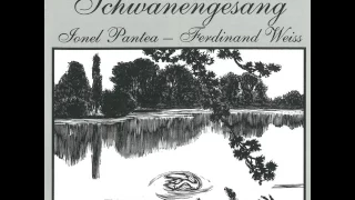 Ionel Pantea - Franz Schubert: Standchen (Serenada)