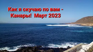 Las Canteras en Marzo 2023. Пляж Лас Кантерас в марте. Купаться можно! Канары весной