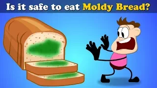 Is it Safe to eat Moldy Bread? + more videos | #aumsum #kids #science #education #children