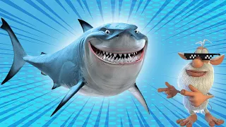 Booba 🦈 Shark Week 🦈  cartoon for kids - BOOBA Toons TV 2023