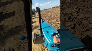 Ford 5000 onboard plowing pure sound #shorts