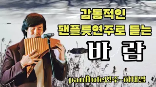 바 람 (김영태) panflute 연주 [울산 하태열 팬플룻 아카데미]