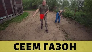 Сеем самую лучшую газонную траву - мятлик. Просто Константиновы.