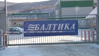 «Балтика» закрывает 2 завода в России (новости)