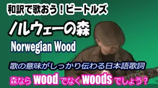 Norwegian Wood / The Beatles Cover ( Japanese version )