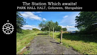 The Station Which Awaits, Park Hall Halt, Gobowen, Shropshire