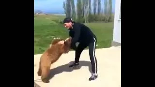 Хабиб vs Медведь